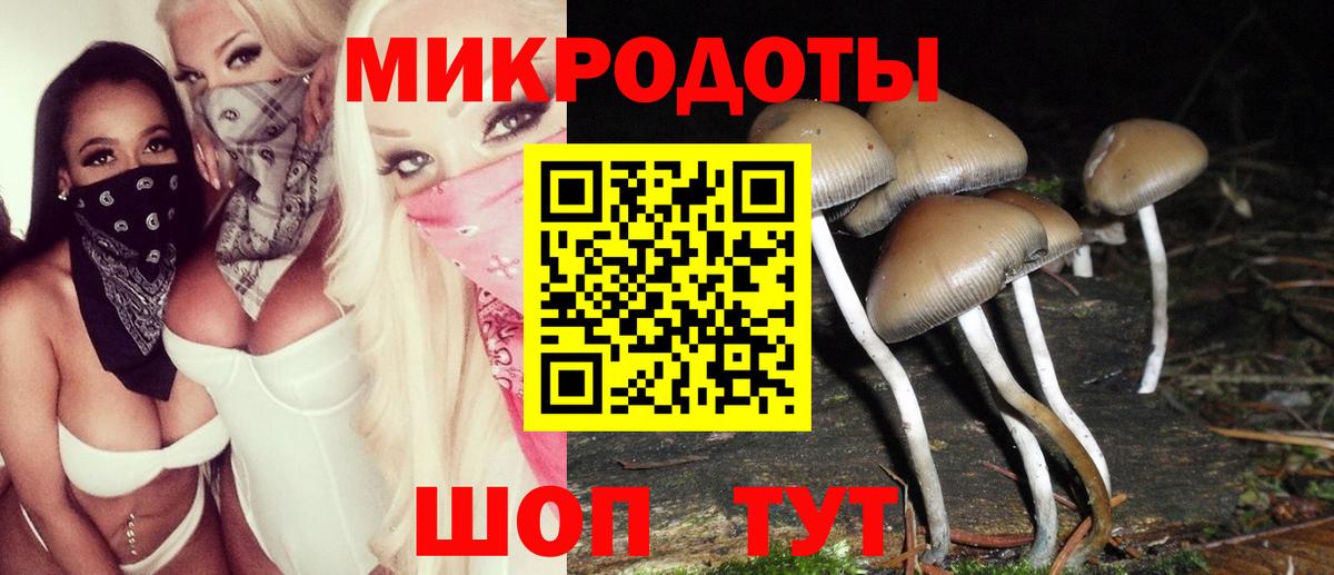 Галлюциногенные грибы GOLDEN TEACHER Димитровград
